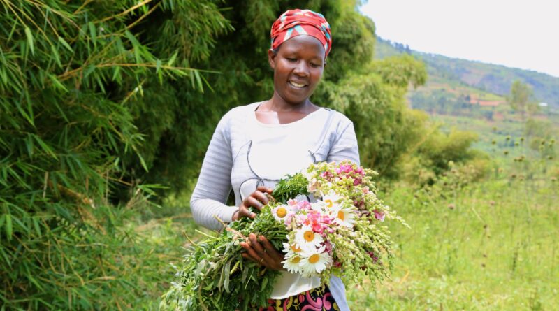 Flowers from Rwanda get a stage at international flower fair in Europe