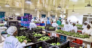 Rwanda’s Fruit Export Success: A Remarkable 80% Growth in One Year