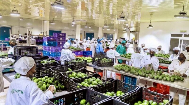 Rwanda’s Fruit Export Success: A Remarkable 80% Growth in One Year